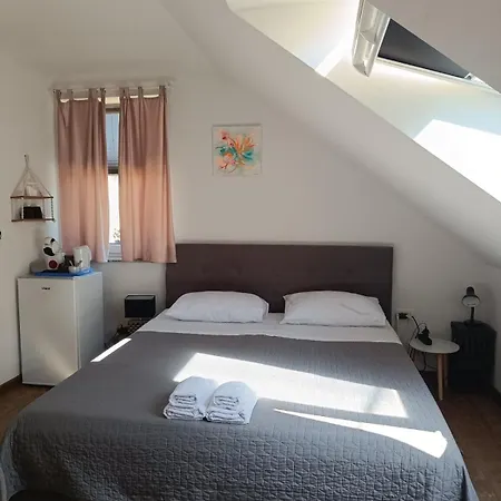 Alloggio in famiglia Sobe Pri Rozi *